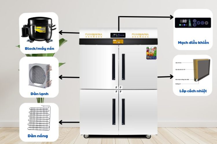 cau tao cua tu dong 1