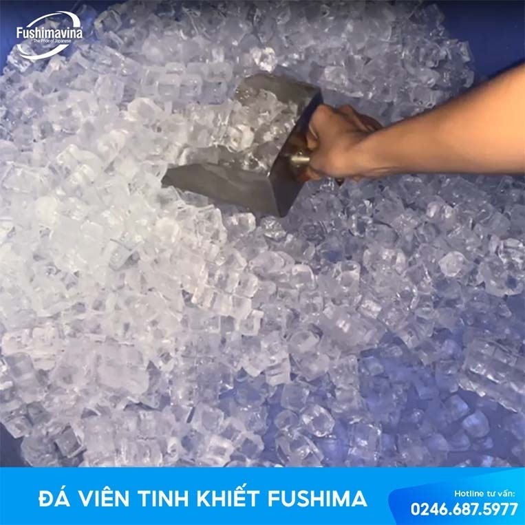 Đá bi là gì? Đặc điểm, kích thước và ứng dụng trong kinh doanh 10 những lưu ý cần biết khi sử dụng đá viên bi
