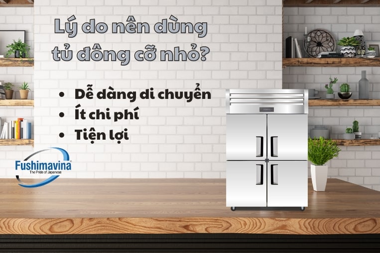Xem Qua 4 Dòng Tủ Đông Mini Và Kinh Nghiệm Mua Từ Fushimavina 9 Lý do nên lựa chọn tủ đông loại nhỏ