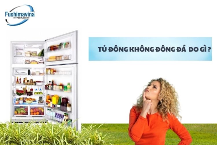 ly do tu khong dong da