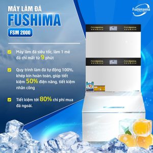 may lam da vien 2 tan 12 1