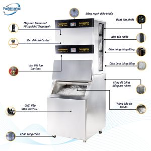 may lam da vien 2 tan 52