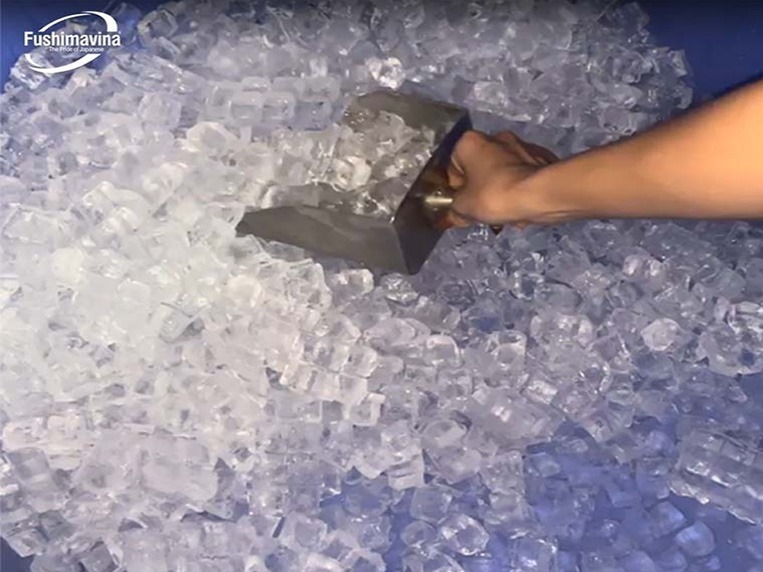 Máy làm đá viên của Trung Quốc: Nên cân nhắc kỹ trước khi mua 6 những điều cần biết về máy làm đá viên trung quốc