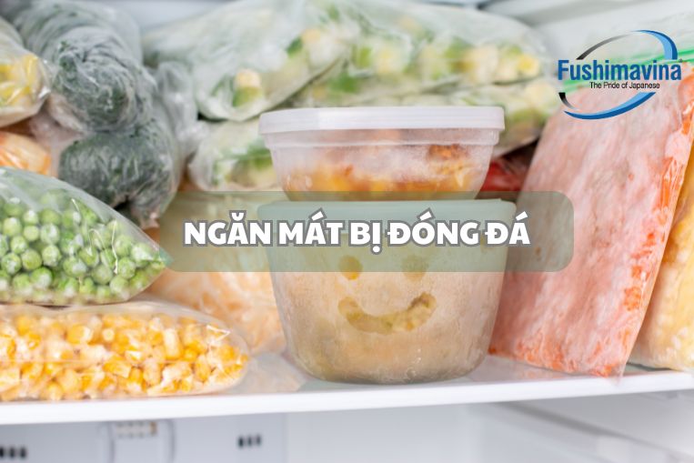 ngăn mát bị đóng đá 