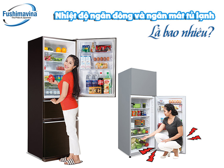 Nhiệt độ tủ đông là bao nhiêu thì phù hợp để bảo quản thực phẩm hiệu quả? 7 nhiệt độ ngăn đông tủ lạnh