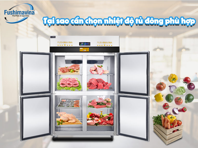 Nhiệt độ tủ đông là bao nhiêu thì phù hợp để bảo quản thực phẩm hiệu quả? 8 tại sao cần chọn nhiệt độ tủ đông phù hợp