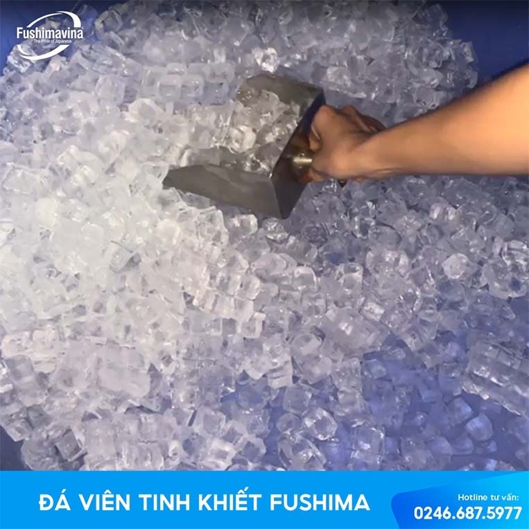 Kiểm tra, quản lý chất lượng nước đá