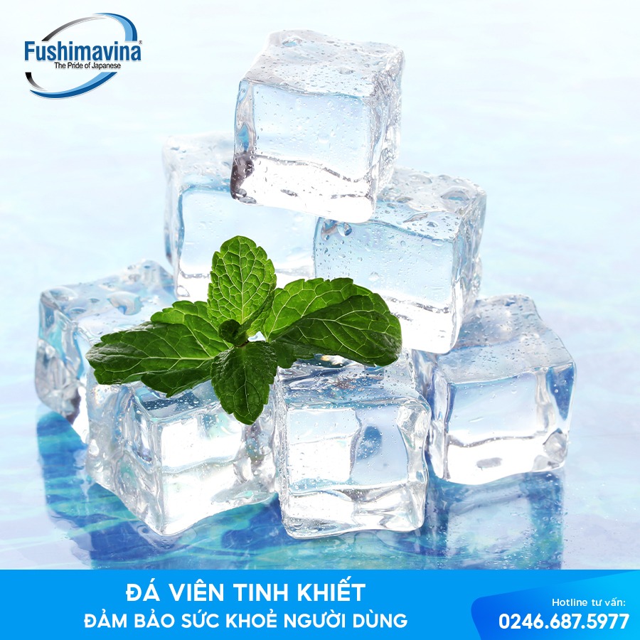 Bài viết cung cấp cho bạn đọc 3 tiêu chí quản lý chất lượng nước đá