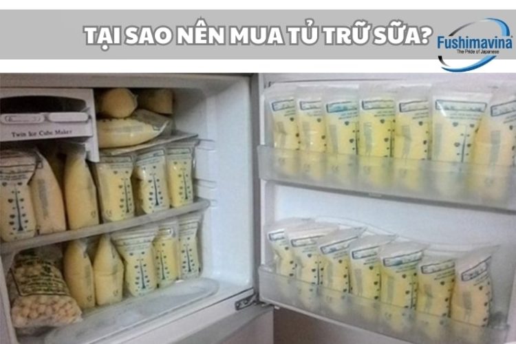 tai sao nen mua tu dong da tru sua 1