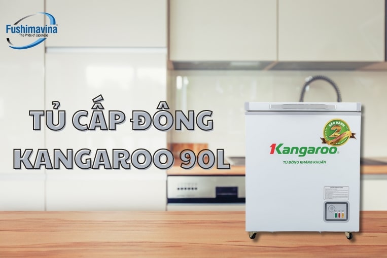 Xem Qua 4 Dòng Tủ Đông Mini Và Kinh Nghiệm Mua Từ Fushimavina 14 tủ kangaroo 90L