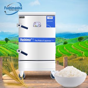 tu com dien 12 khay fushima 3