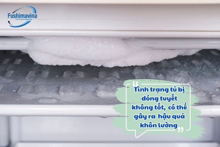 tu dong dong tuyet 1