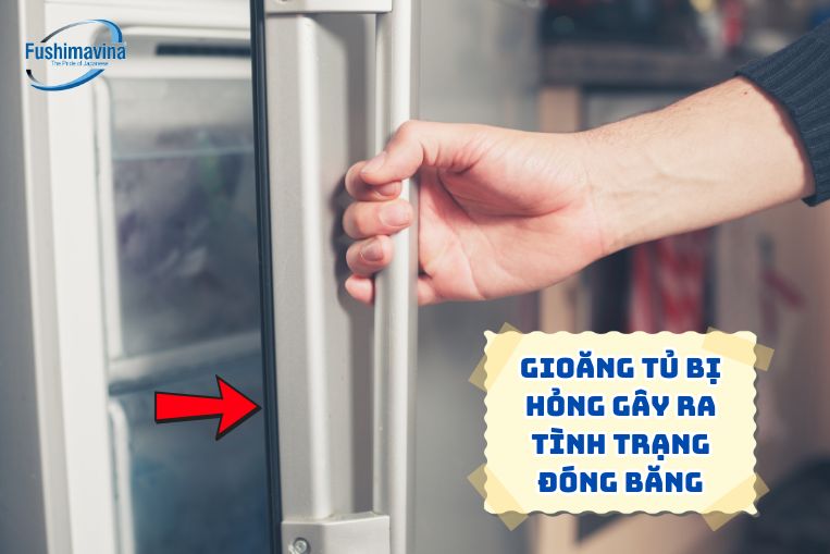 Tổng hợp 5 nguyên nhân tủ đông bị đóng tuyết, cách khắc phục nhanh 9 Do gioăng cánh tủ bị hỏng