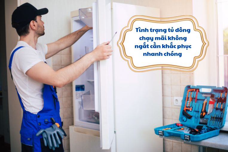 Tủ đông chạy liên tục không ngắt dẫn đến những hậu quả gì?