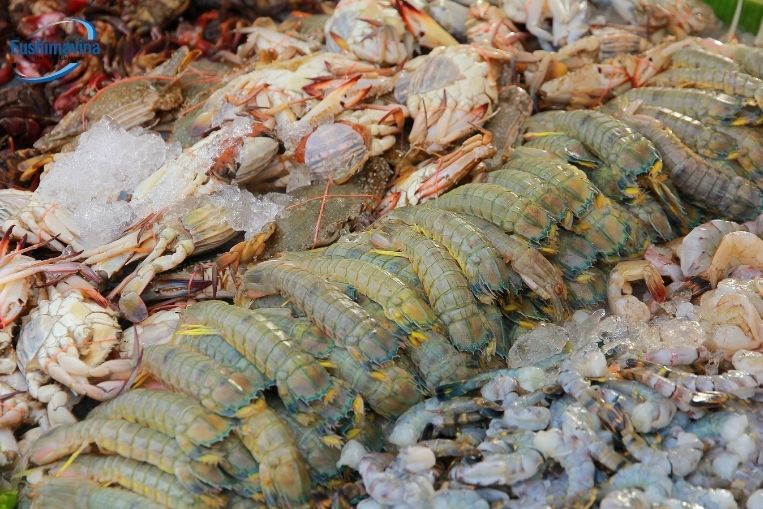  Bí quyết trưng bày hải sản tươi sống đẹp mắt