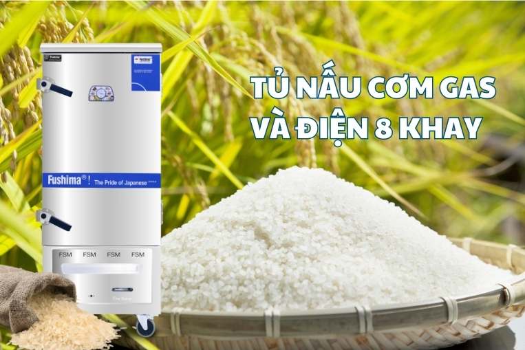 tủ nấu cơm 30kg