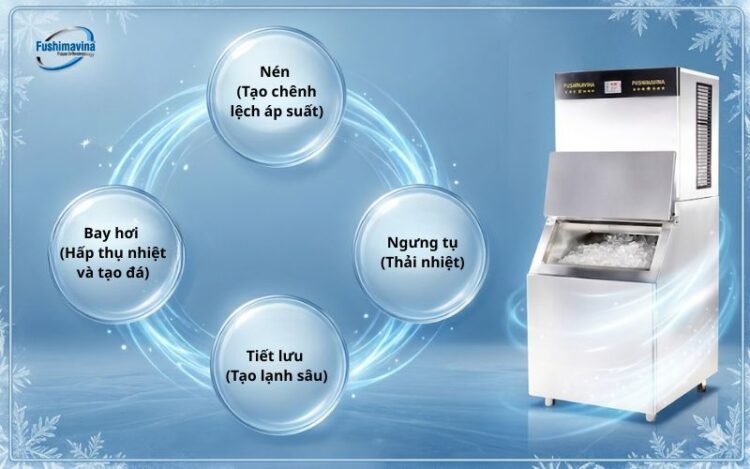 cau-tao-may-lam-da-vien-2