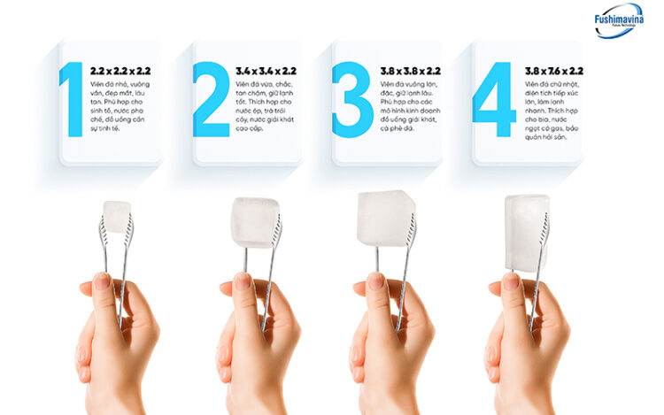 da-vien-co-nhieu-kieu-dang (1)