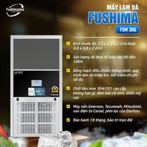 may-lam-da-vien-300kg-fushimavina-2