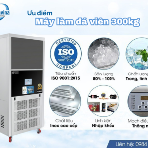 may-lam-da-vien-300kg-fushimavina-3