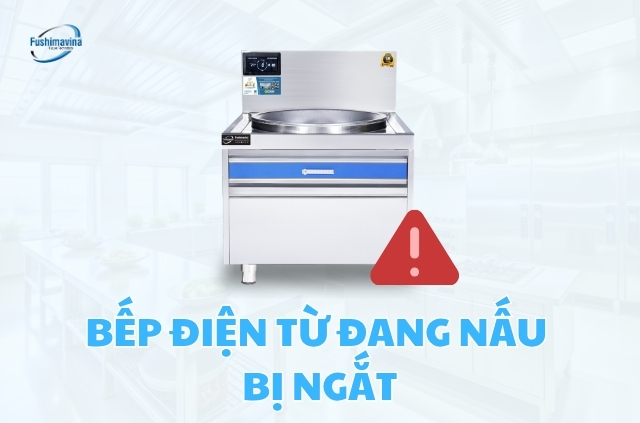 Tìm hiểu sự cố bếp điện từ đang nấu thì bị ngắt