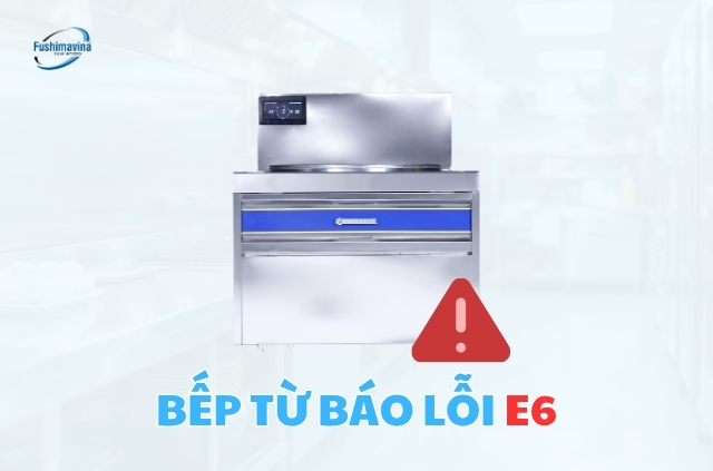 Tìm hiểu về lỗi E6 bếp từ