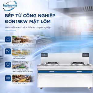 Bếp Từ Công Nghiệp Đôi 15KWx2 Mặt Lõm Phi 600 18 bep-tu-cong-nghiep-doi-15kwx2-mat-lom-phi-600-8