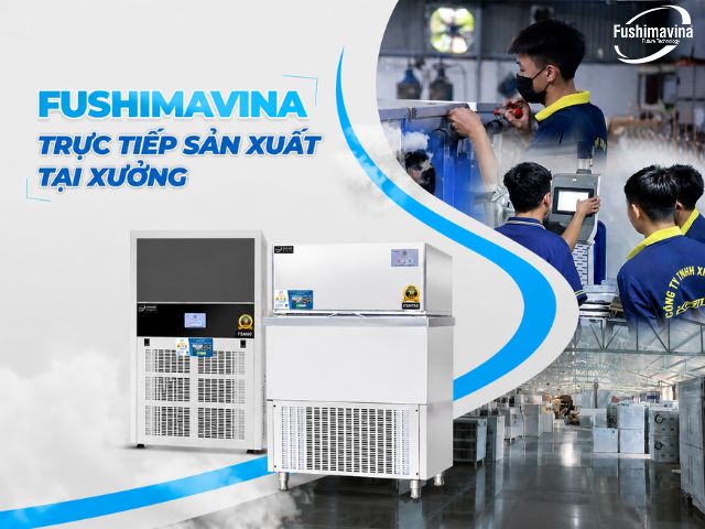 fushimavina-san-xuat-may-da-truc-tiep-tai-xuong