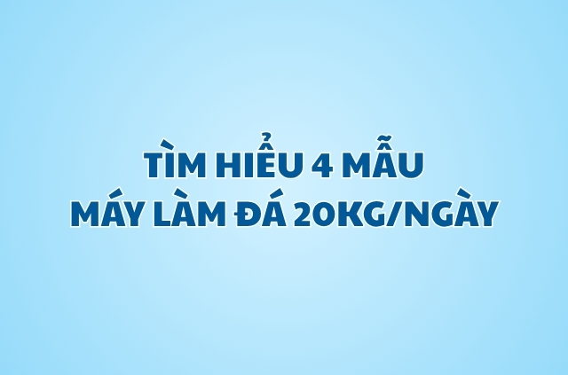 may-lam-da-20kg-ngay