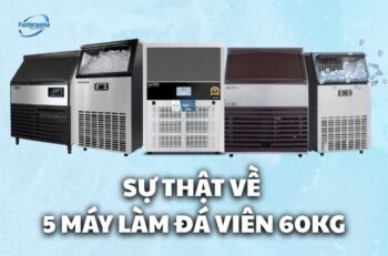may-lam-da-vien-60kg-1