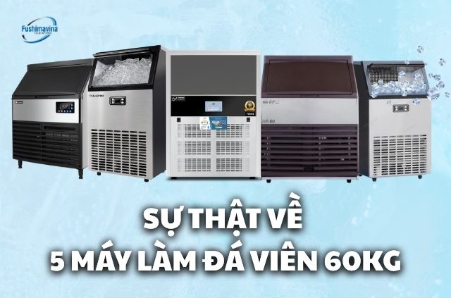 may-lam-da-vien-60kg-1