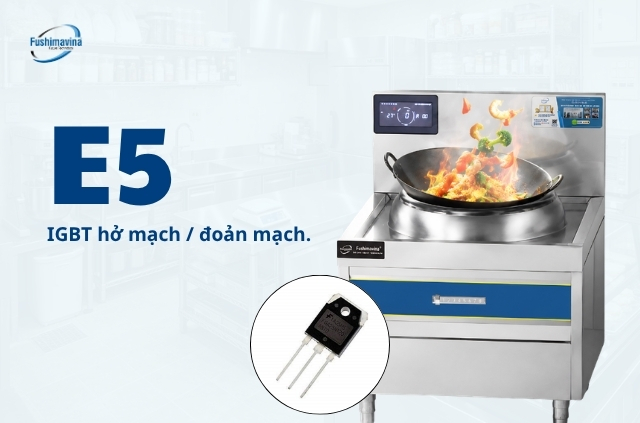 Lỗi E5 bếp từ do IGBT hở mạch / đoản mạch.