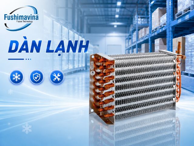 dan-lanh-fsmblckq1m5