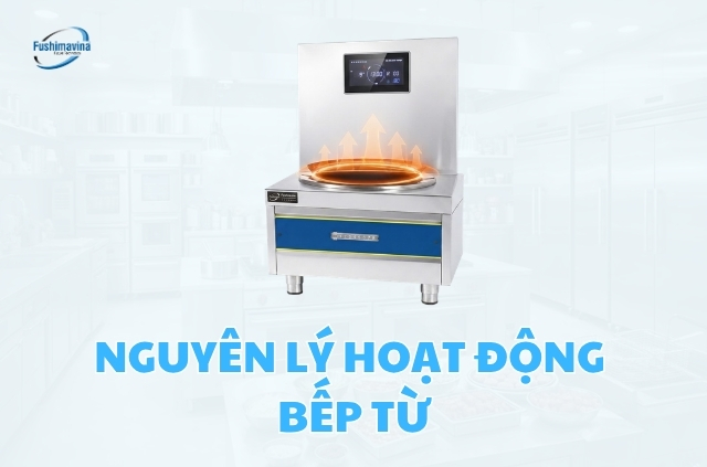 Nguyên lý hoạt động của bếp từ