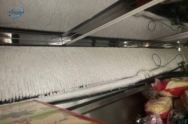 Sửa bàn mát ở đâu uy tín? Lỗi thường gặp, bảng giá tham khảo 8 Sữa lỗi bàn mát bị đóng tuyết dày