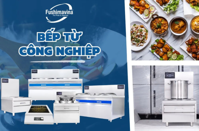 Phân loại bếp từ công nghiệp