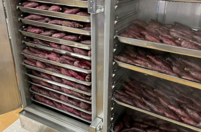 So sánh tính đa năng của nồi cơm và tủ hấp