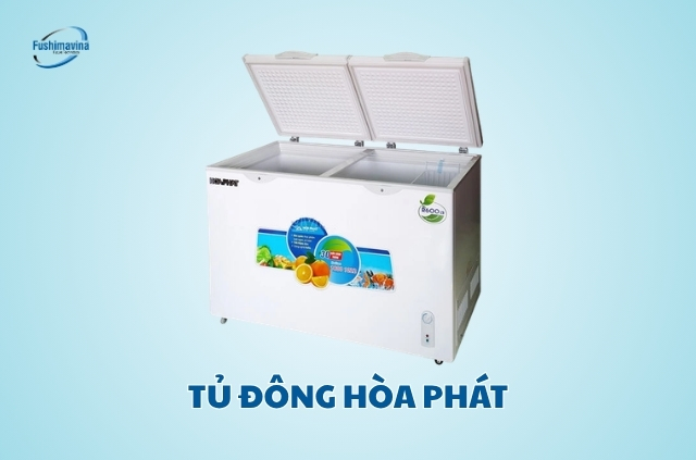 Tủ đông Hòa Phát.